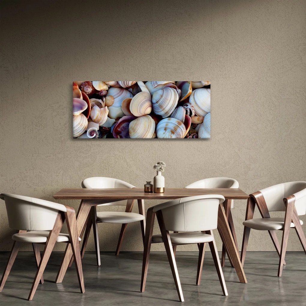 Kagyló képe (120x50 cm)