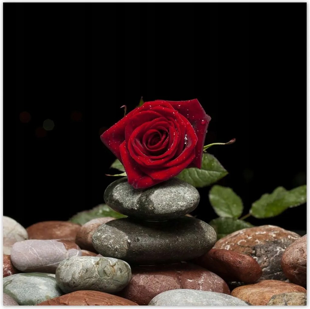 Poszterek 100x100 Spa Wellness Relaxáció Víz