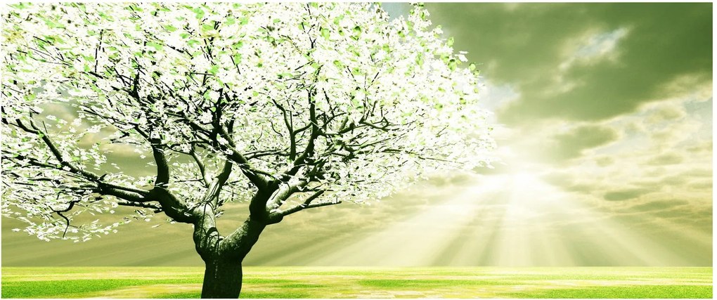 Fa képe a réten (120x50 cm)