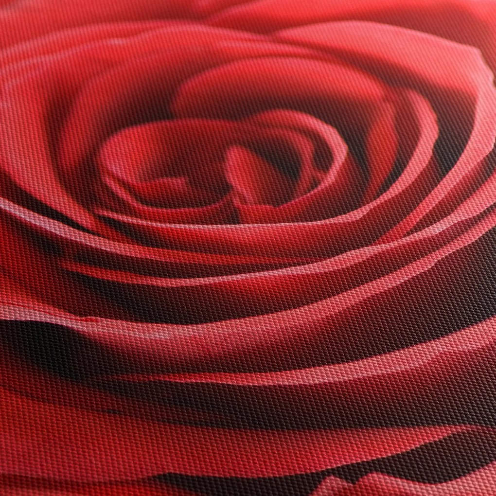 Egy rózsa virág képe (órával) (90x30 cm)