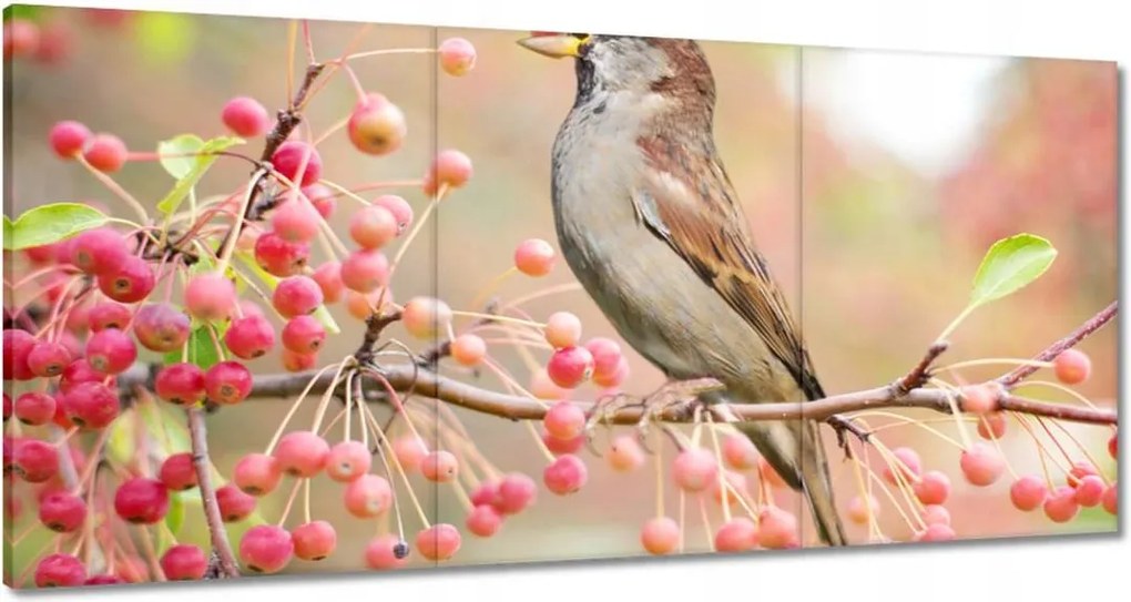 Vászonkép 180x90 Madarak