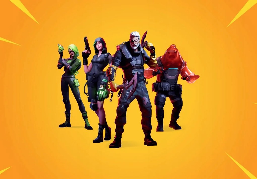 Fortnite poszter, Fortnite