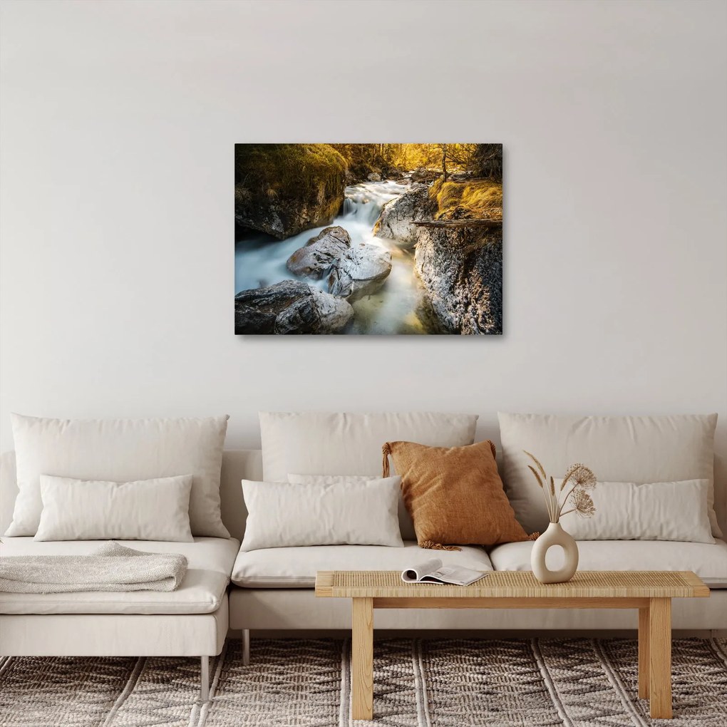 Kép - Erdei patak (70x50 cm)