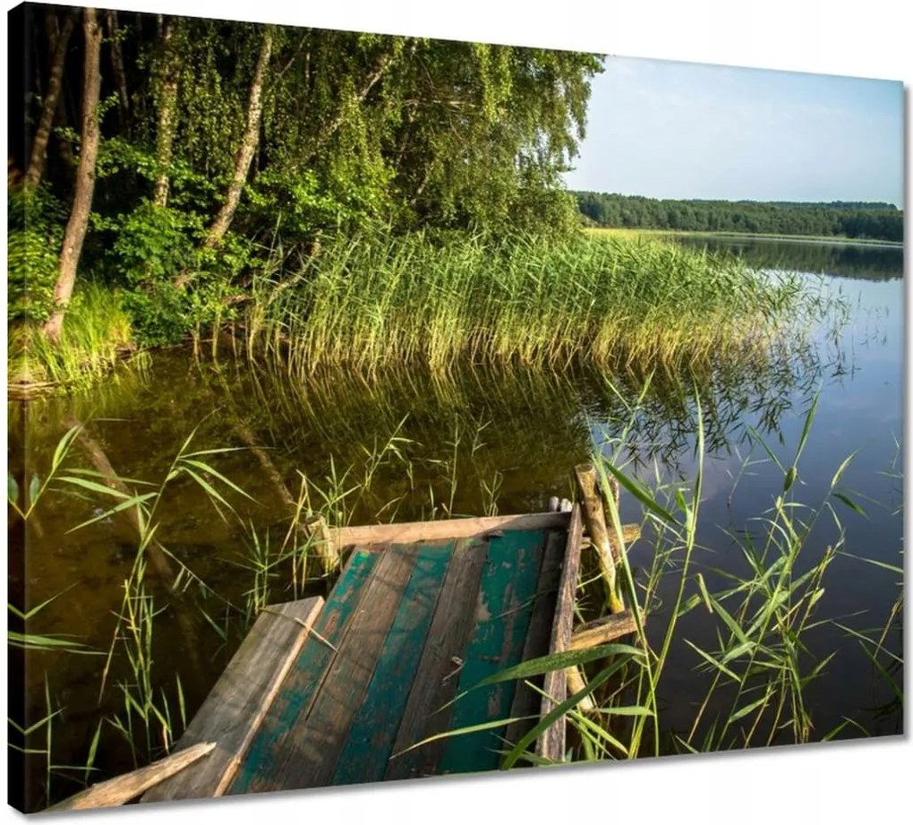 Vászonkép 50x40 Szúnyogok