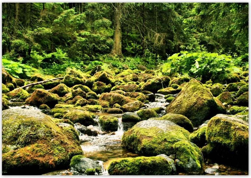 Poszterek 100x70 Tátra Lengyel hegyek Kilátás