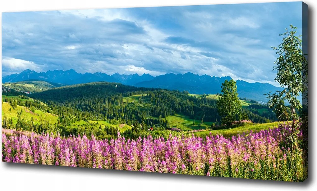 Vászonkép Levendula a hegyekben 120x60 cm