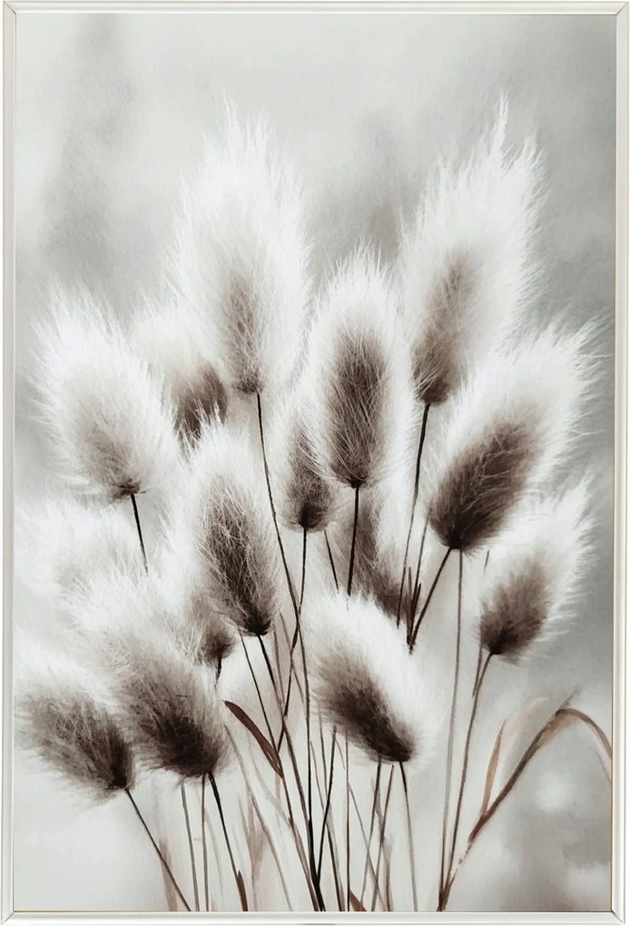 Poszter Keret Alumínium Akvarell Természet Növényzet Fű Szürke 40x60