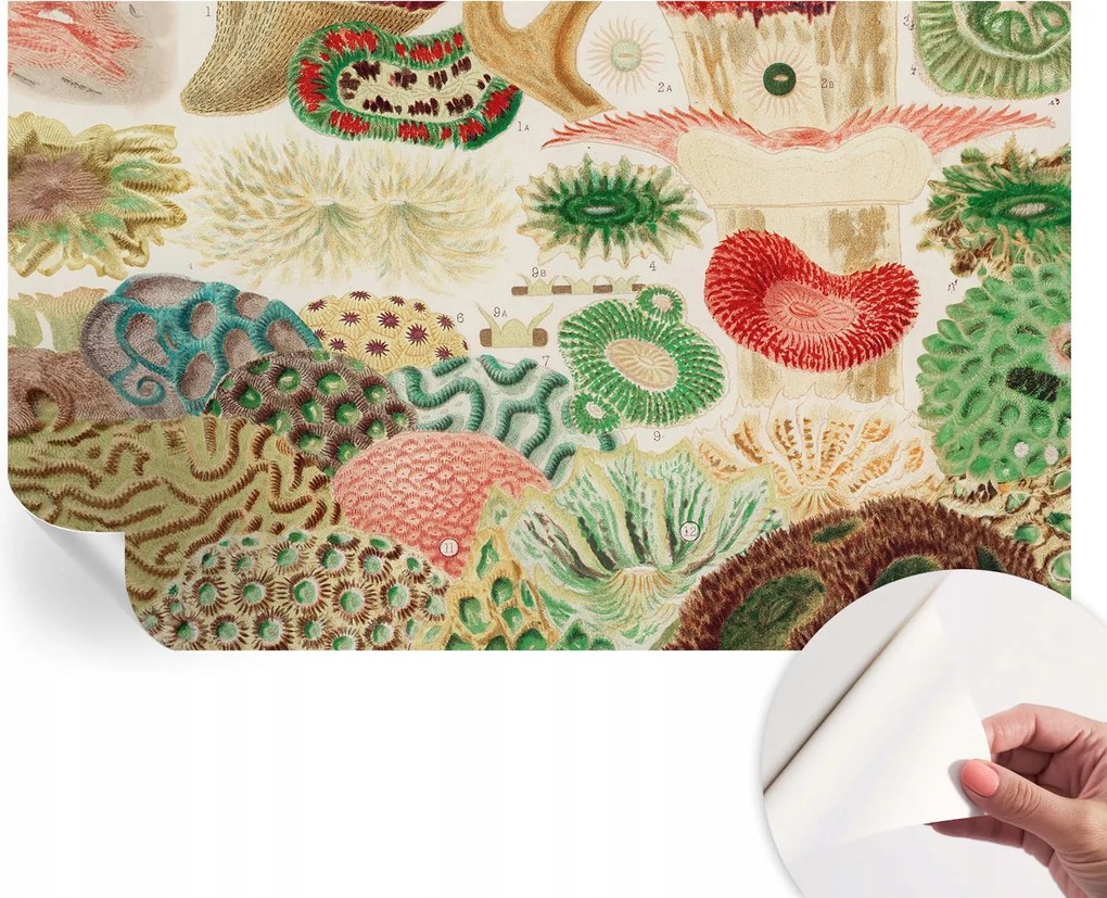 Fali fotótapéta Hálószobába Nappaliba Organikus formák 416x254 cm