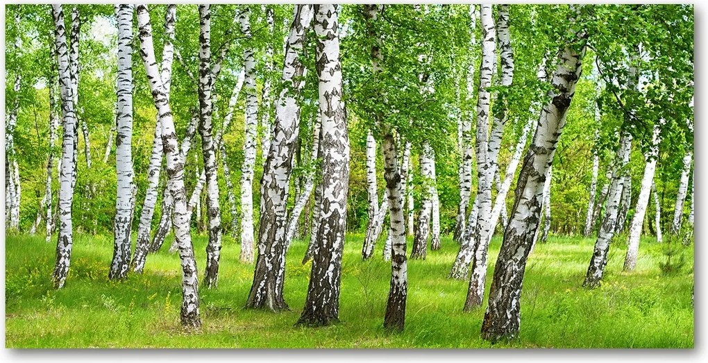 Fotó vászonkép edzett üveg Nyírerdő 140x70