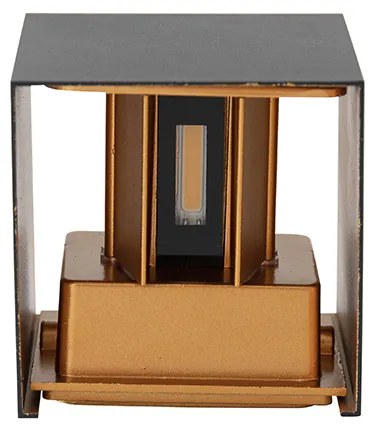 Kültéri fali lámpa fekete arannyal, LED-del, 2-lámpás, IP54 - Edwin