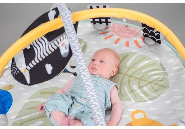 Taf Toys - Gyermek játékszőnyeg trapézzal szavanna 2xAAA