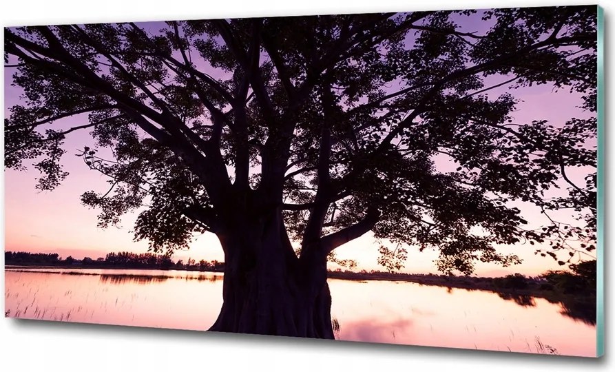 Fotó üvegkép Pitypang magok 100x70