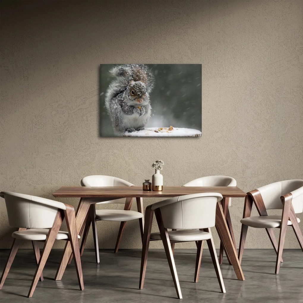 Kép - Mókus télen (70x50 cm)