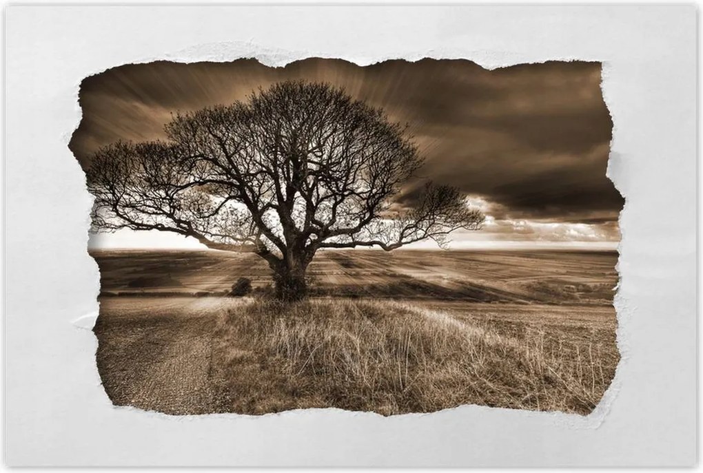 Poszterek 120x80 Tájkép varázslattal