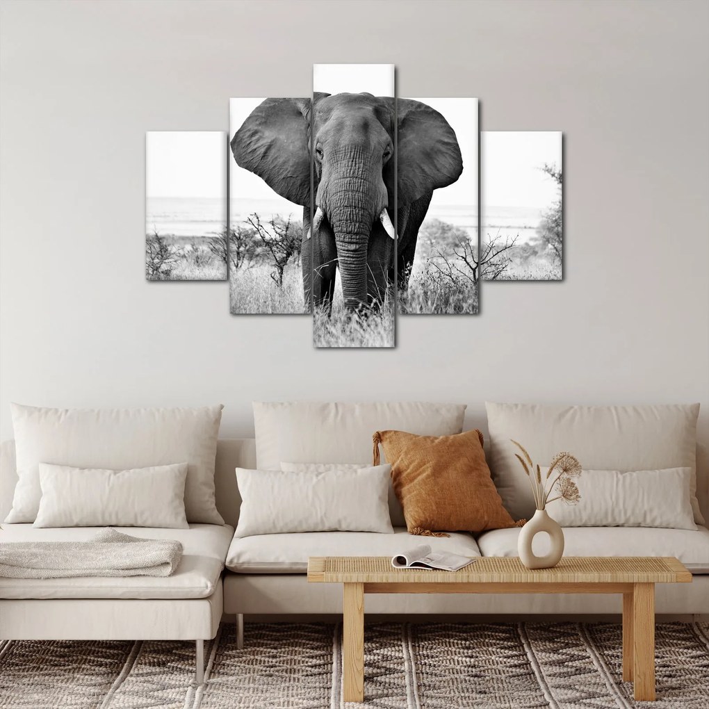 Kép - Afrikai elefánt II. (150x105 cm)