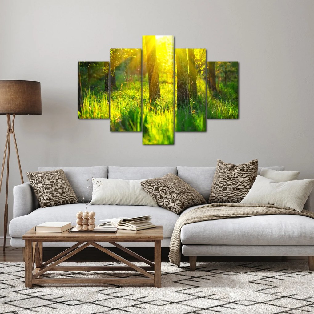 Kép - Az erdő tavaszi ébredése (150x105 cm)