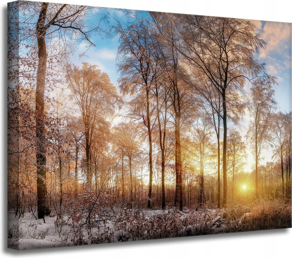 Vászonkép Fák Tél Felkelő Nap 40x30 cm Ideális ajándék