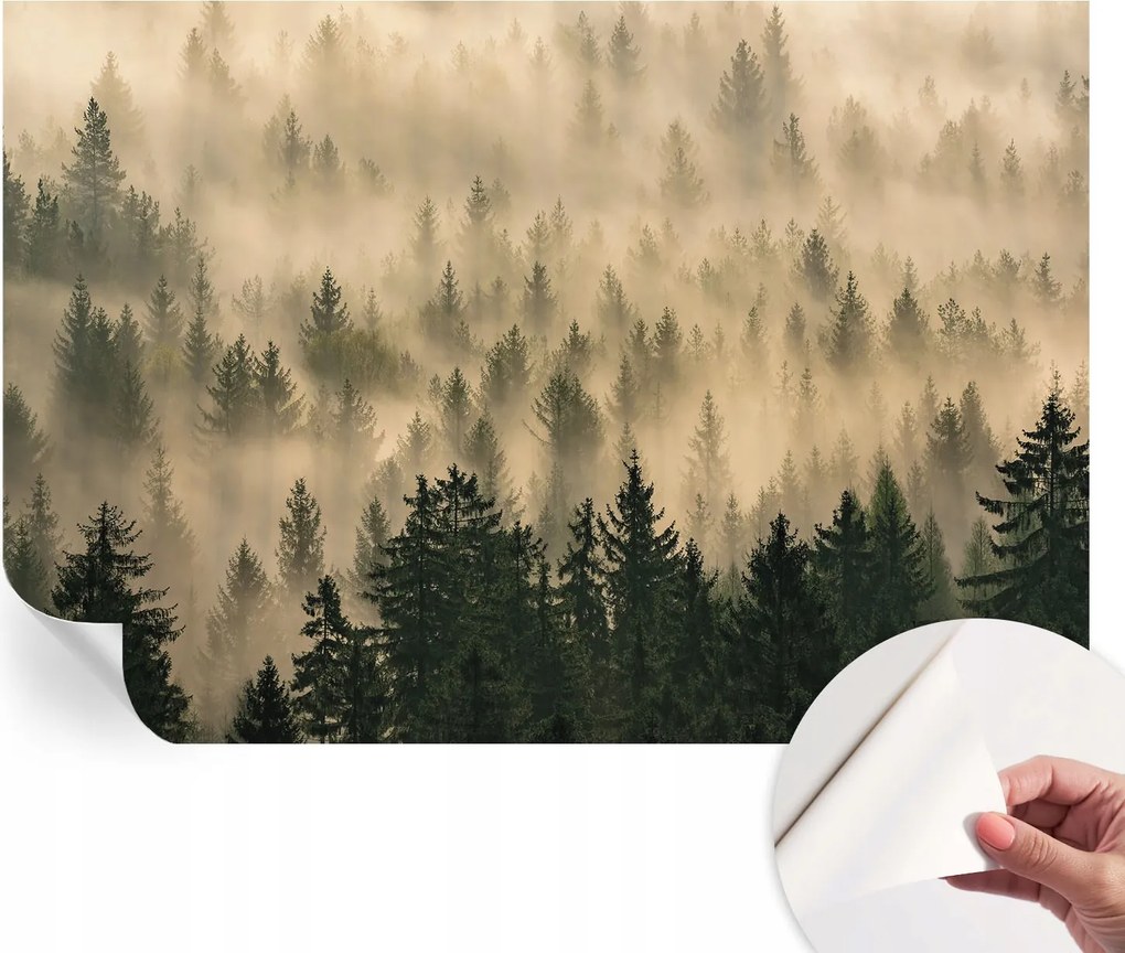 Fotótapéta Dekoratív Fali Tapéta Képekkel Erdei köd 152x104