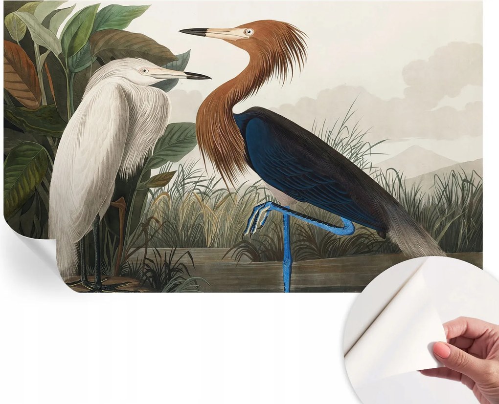 Öntapadós tapéta Fali furnér 3D hatás Madarak a növényekben 416x254 cm