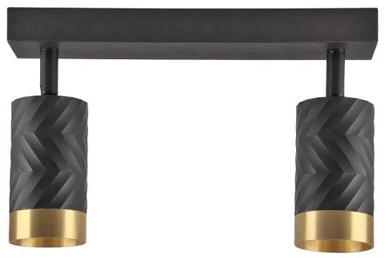 Spotlámpa ARRAS 2xGU10/10W/230V fekete