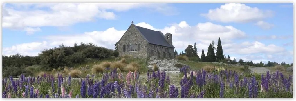 Poszterek 200x66 Lila virágok domb