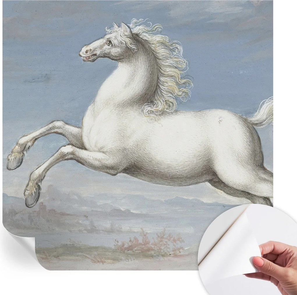 Öntapadós Dekoratív Fotótapéta Hálószobába Lovak ugrásban 250x250 cm