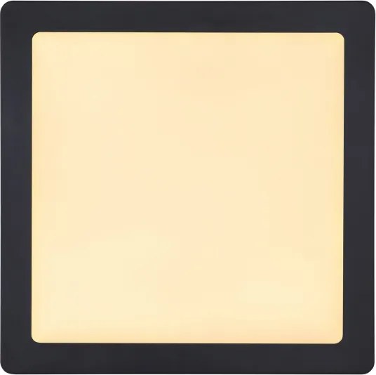 Globo 12374-24 - LED Mennyezeti lámpa DINO LED/22W/230V