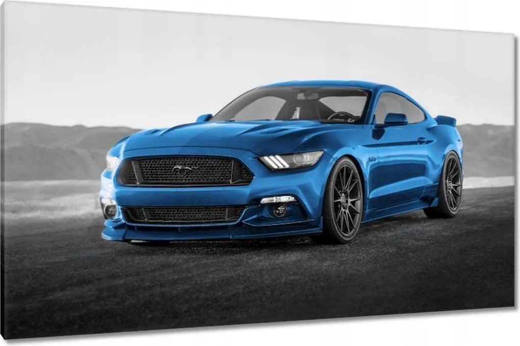 Képek 120x70 Kék Ford Mustang