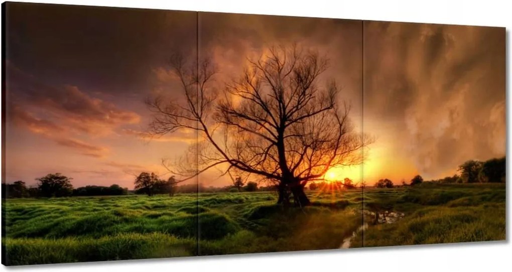 Vászonkép 120x60 Tölgy a croissant-ban Nyugat