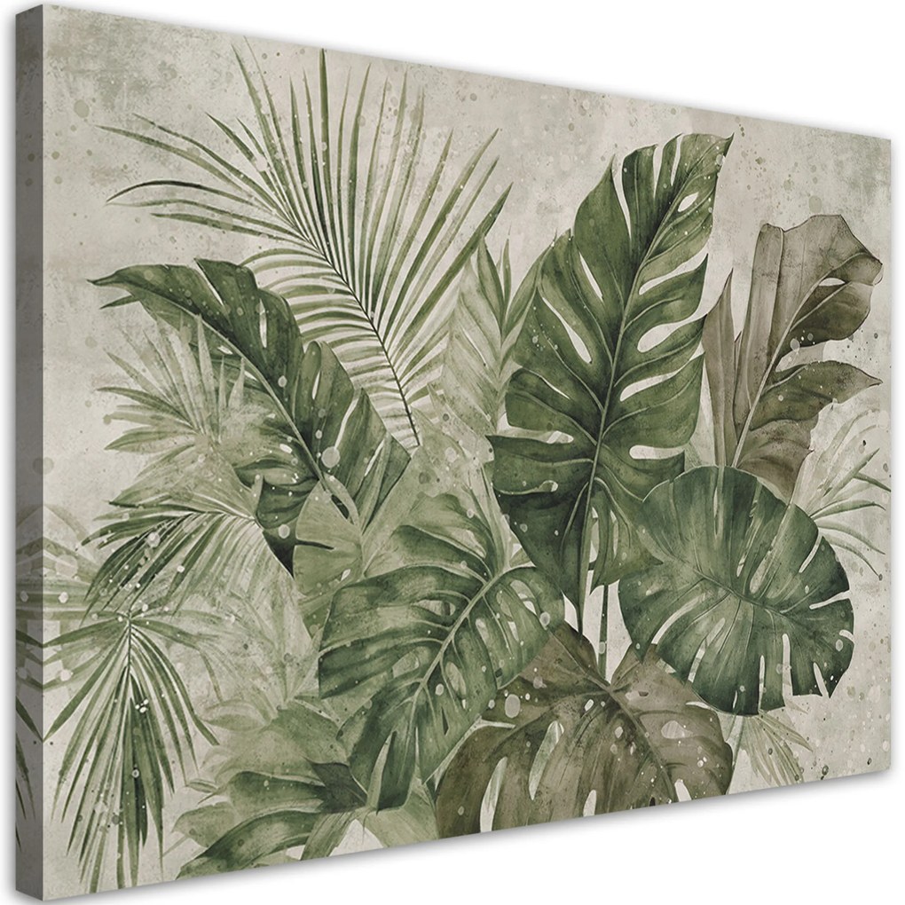 Gario Vászonkép Trópusi monstera levelek Méret: 120 x 80 cm