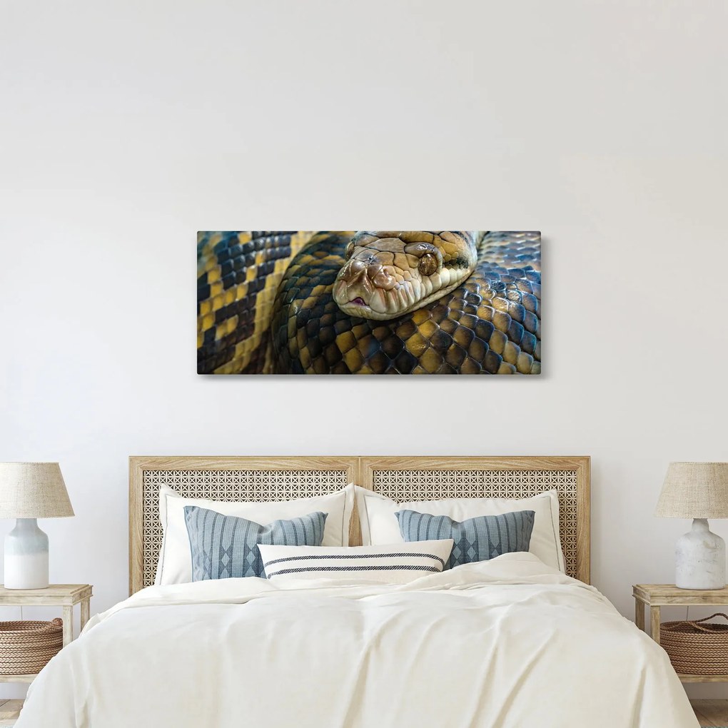 Kép - Piton (120x50 cm)