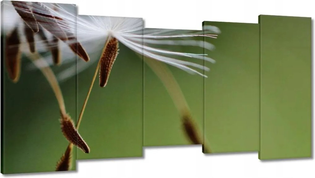 Vászonkép 150x80 Pitypang Virág Virágok