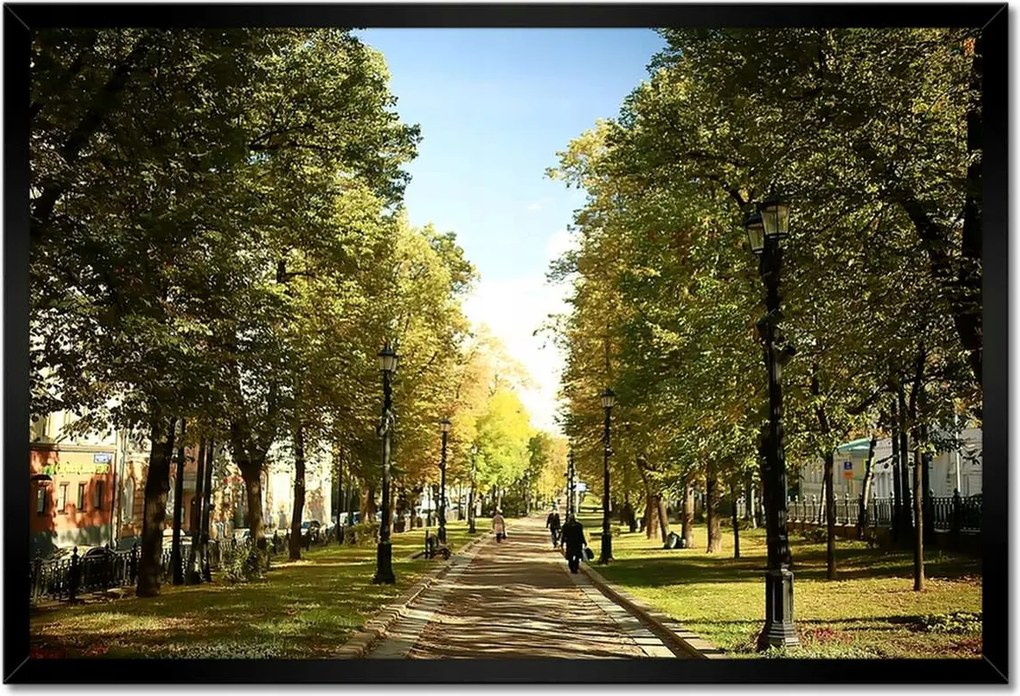 Poszterek keretben 60x40 Park a nyári időszakban