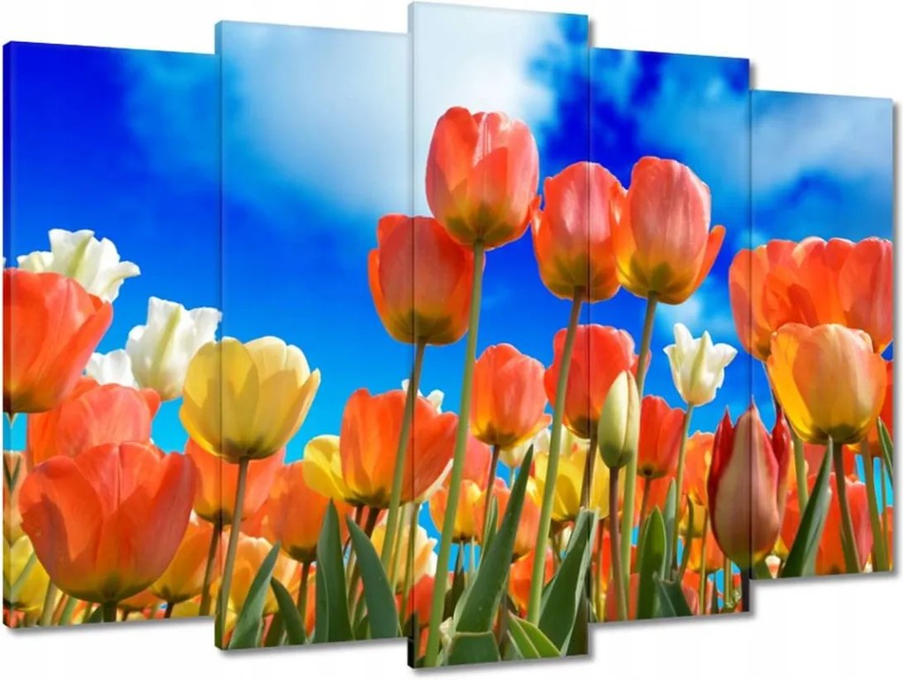 Vászonkép 70x50 Színes tulipánok