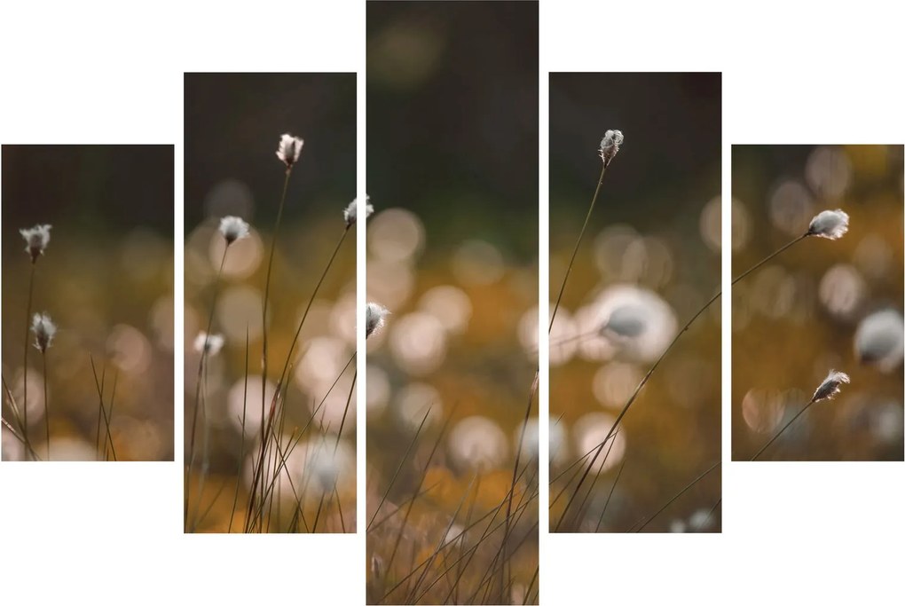 Kép - Gyapotfűvel borított rét N⁰2 (150x105 cm)