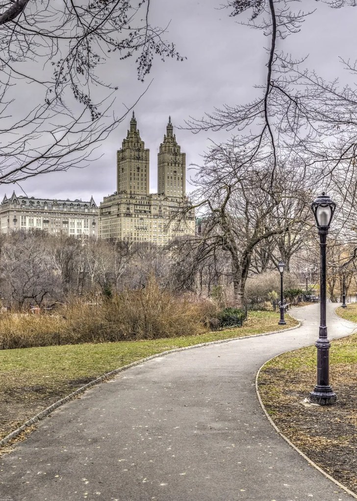 Poszter 50x70cm Ösvény a központi parkon át 3, Assaf Frank