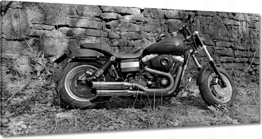 Képek 180x90 Harley Davidson Motorkerékpár
