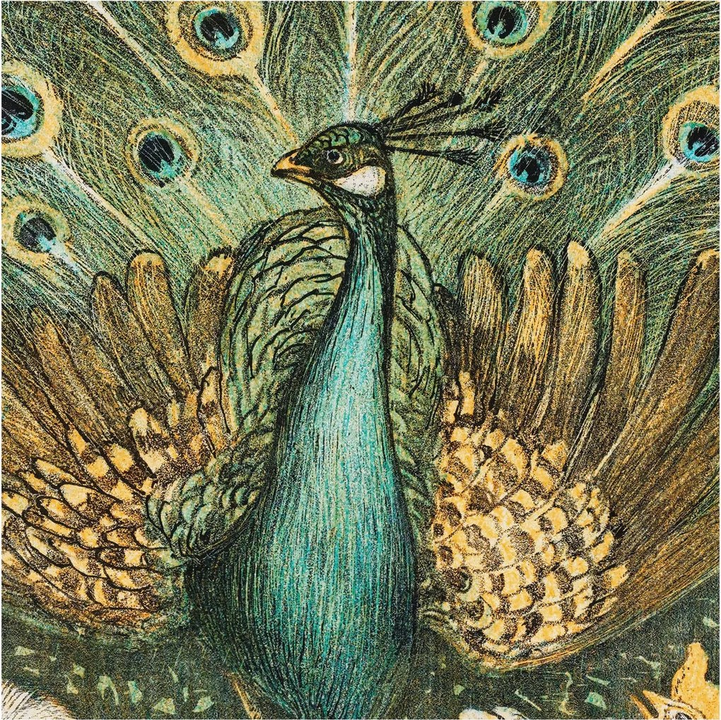 Fotótapéta Flizelin Fal a Hálószobába Fenséges páva 250x250 Ragasztó