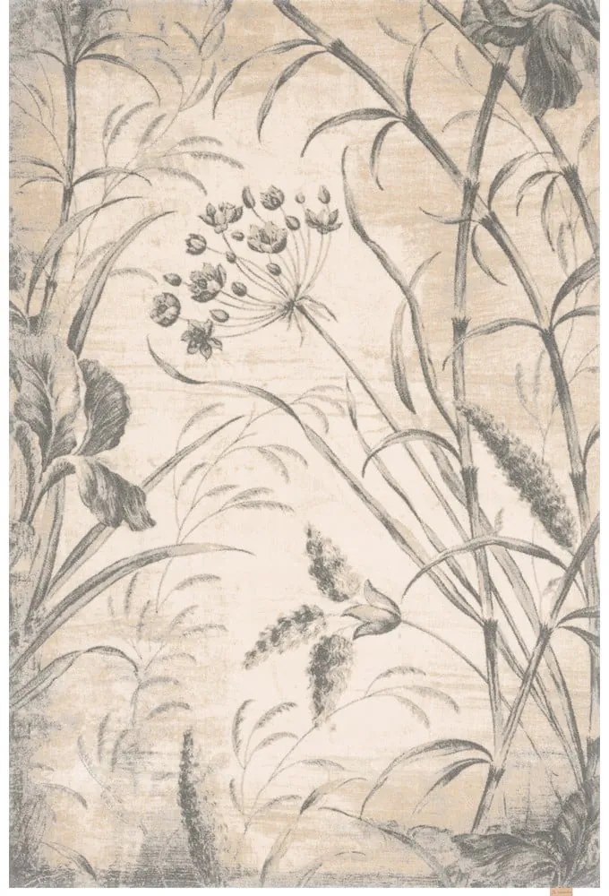 Krémszínű gyapjú szőnyeg 300x400 cm Botany – Agnella