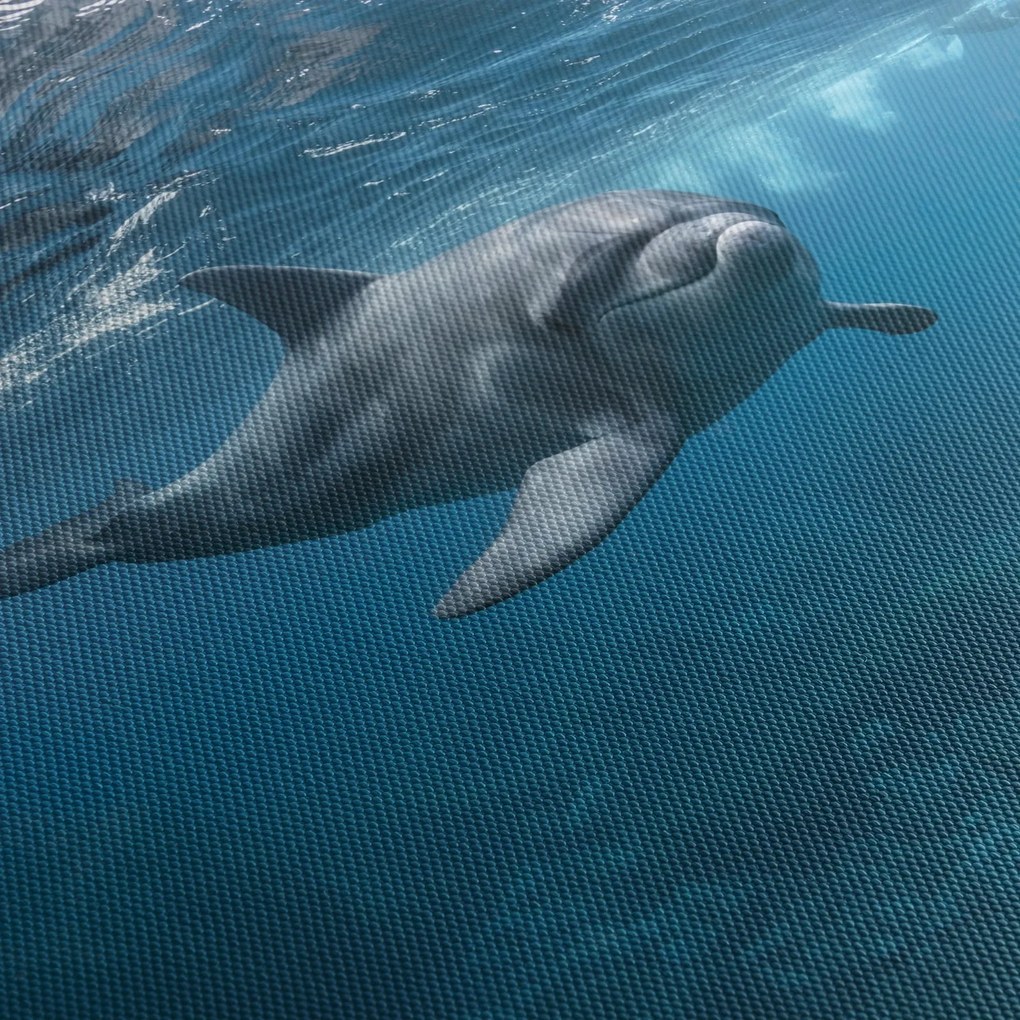 Kép - Delfin a felszín alatt (órával) (90x30 cm)