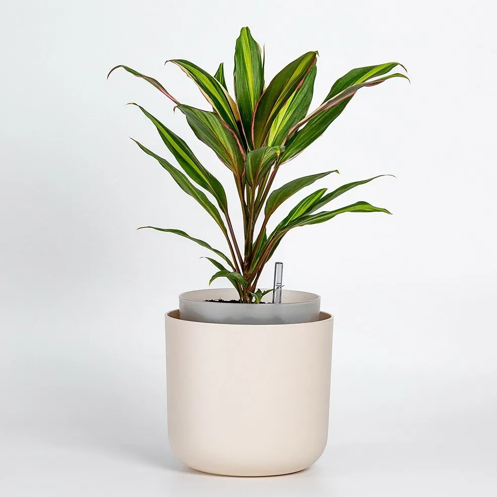 Plastia Tolita önöntöző virágtartó, bézs, átmérő: 19 cm, 19 cm átmérőjű
