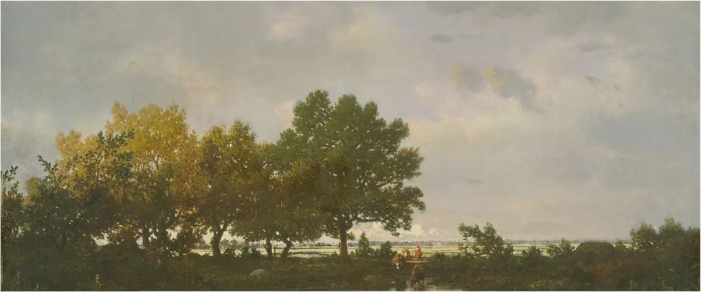 Flizelin fotótapéta Flizelin Designer Erdei tájkép 250x104 Ragasztó