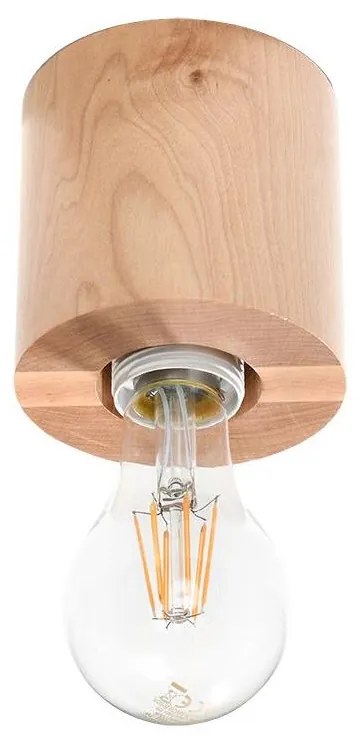 Sollux Sollux SL.0672 - Mennyezeti lámpa SALGADO 1xE27/60W/230V fa SLX0419