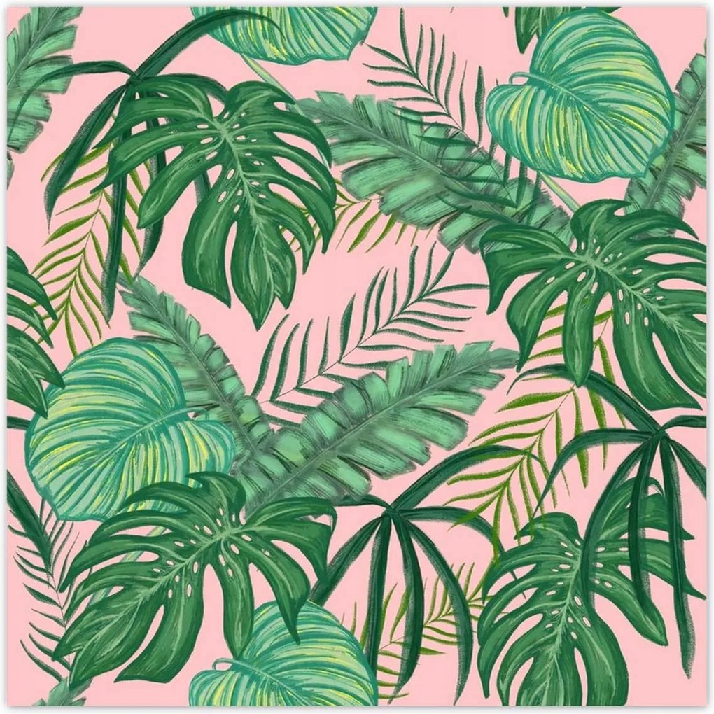 Poszterek 30x30 Házi dzsungel