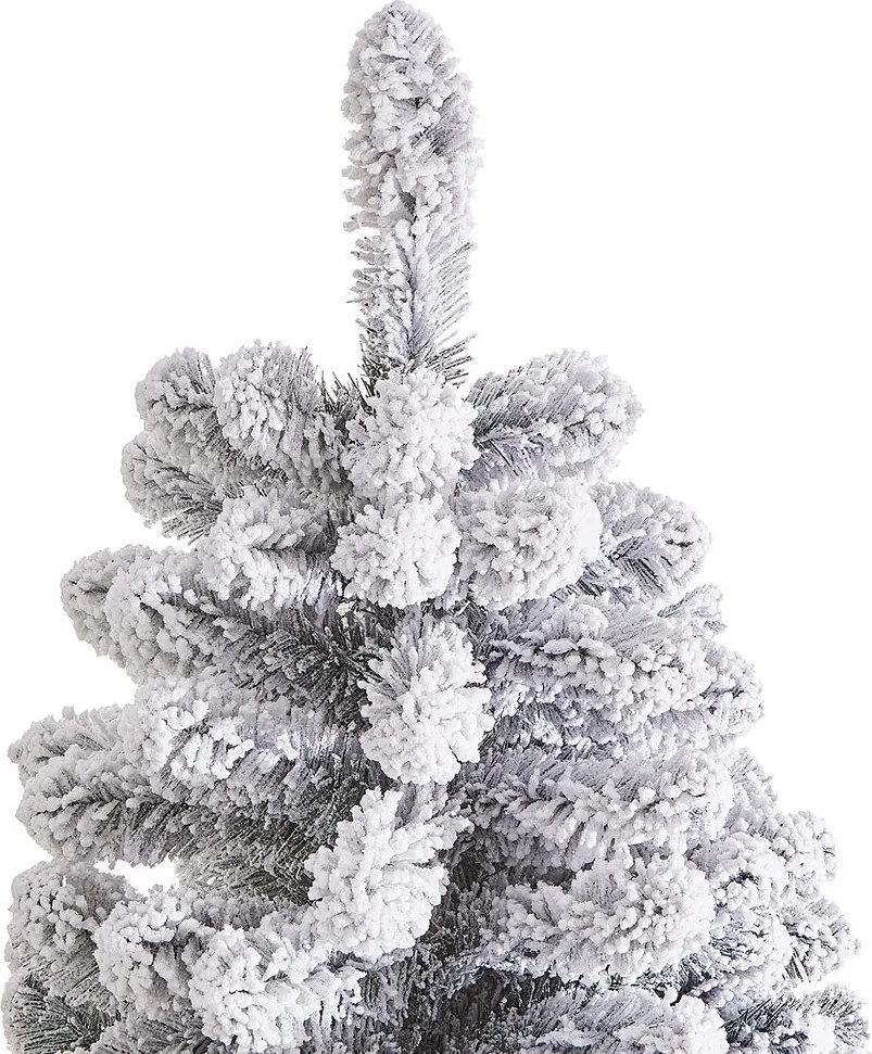 TREE OF THE MONTH fenyőfa, havas 210cm