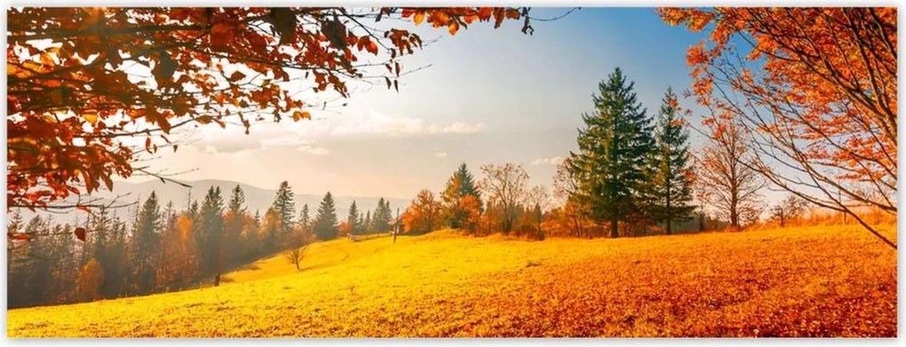 Fotótapéták 250x93 Őszi táj