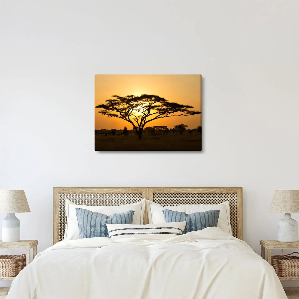 Kép - afrikai szavanna (70x50 cm)