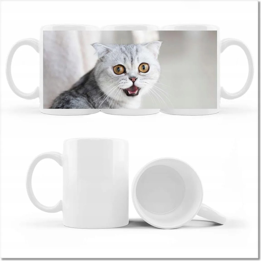 Cica fényképes bögre Cica