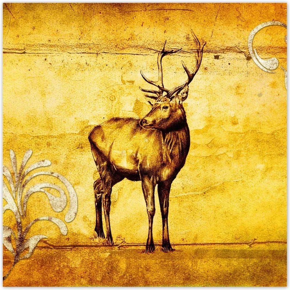 Poszterek 30x30 Szarvas