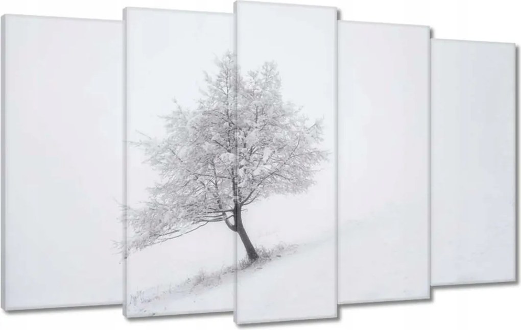 Festmények 100x60 Fa Fák Kilátás